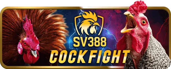 Cá cược bóng đá tylekeo88